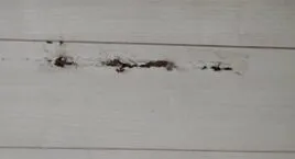 フローリング表面めくれ