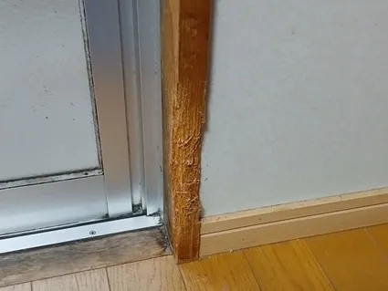 ペットのつけた傷の修復